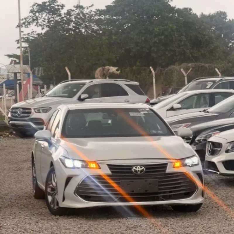 TOYOTA Avalon - 2019