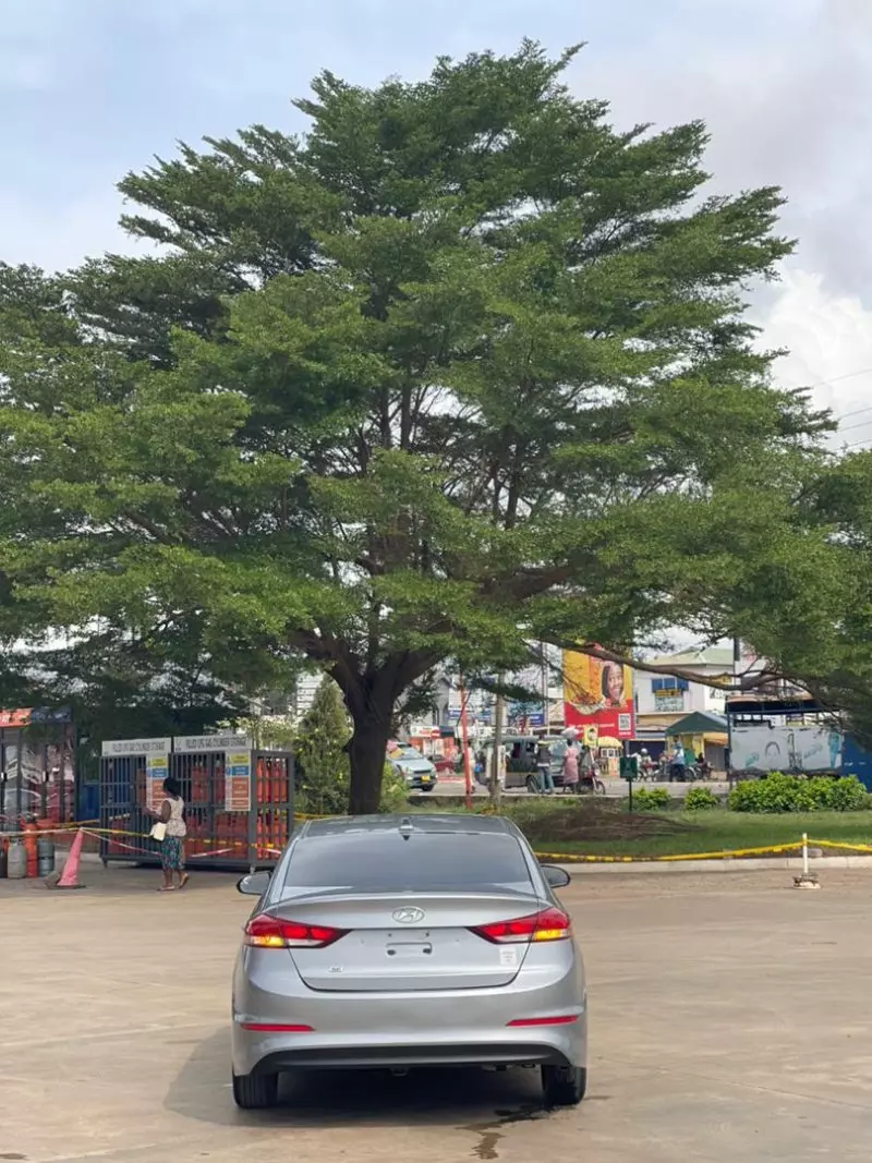 Hyundai Elantra   - 2017