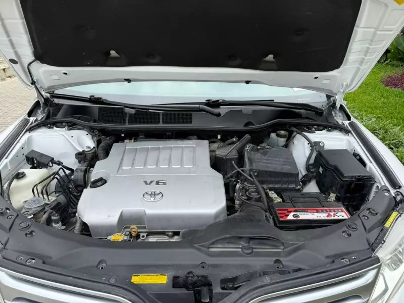 Toyota Venza   - 2010