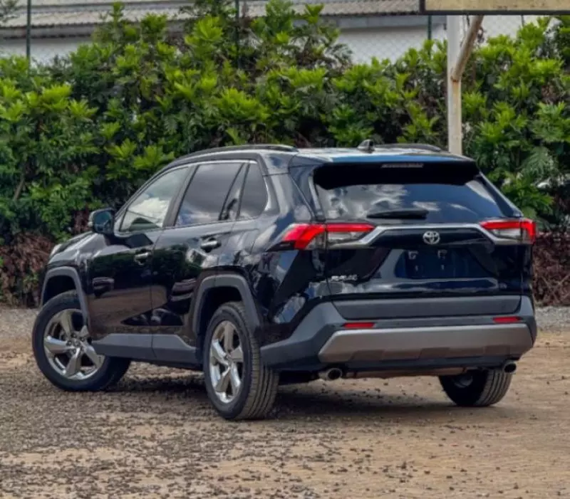 Toyota RAV 4 - 2020