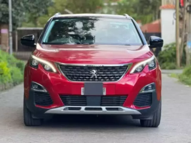 Peugeot 3008   - 2019