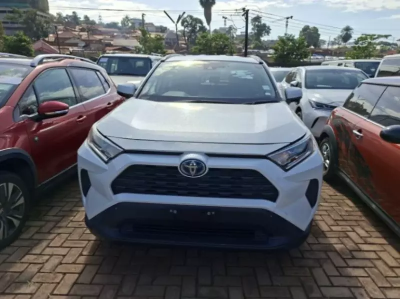 Toyota Rav 4 Hybrid   - 2019