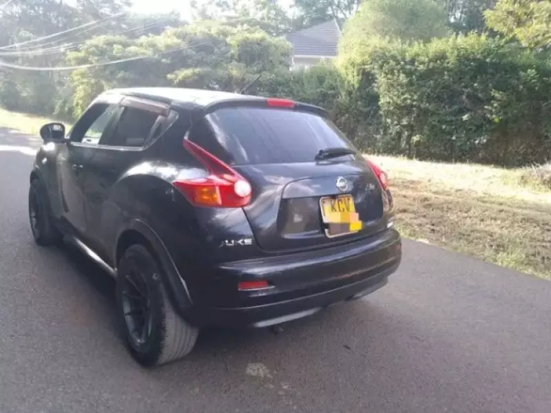 Nissan Juke   - 2011