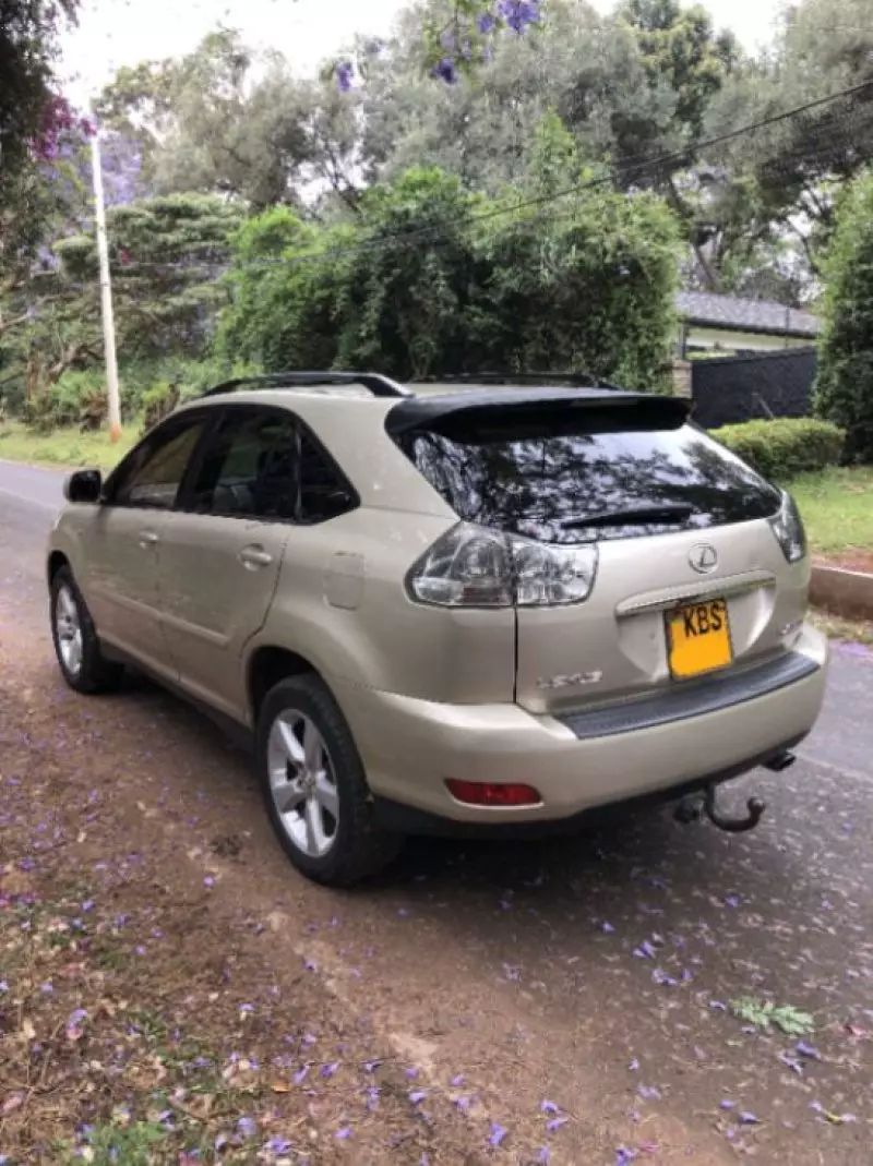Lexus RX 300   - 2005