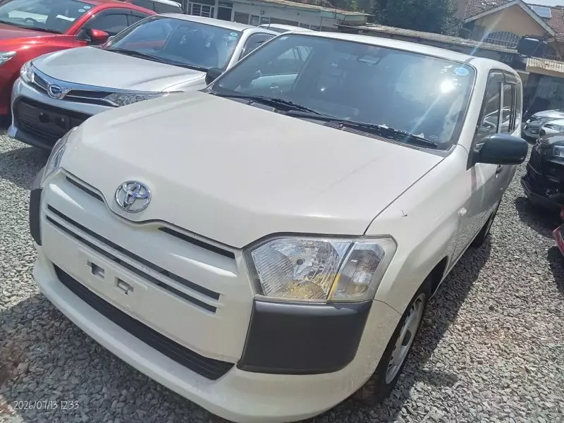 TOYOTA Probox    - 2019