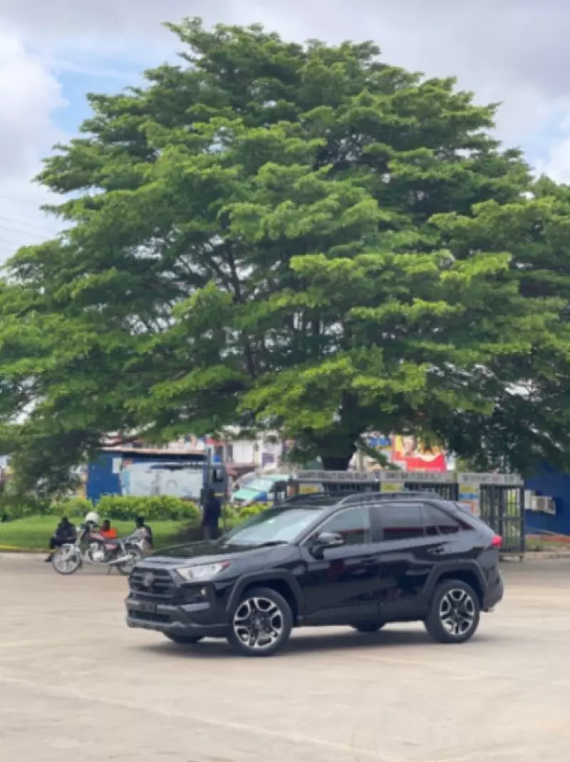 Toyota RAV4   - 2019