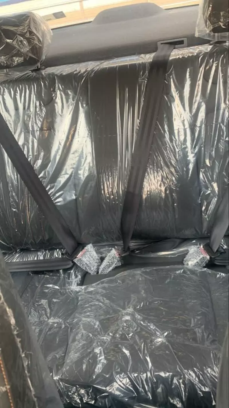 DONGFENG SHINE   - 2025