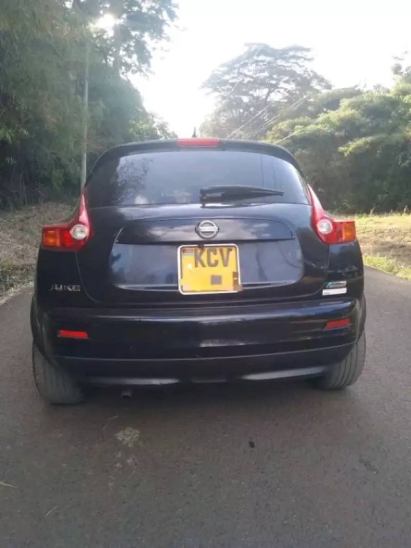Nissan Juke   - 2011
