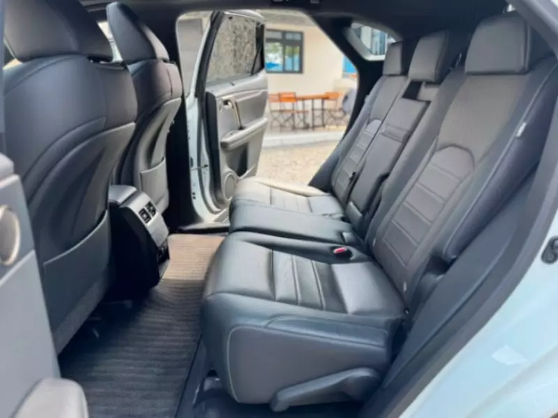 Lexus RX 300   - 2019
