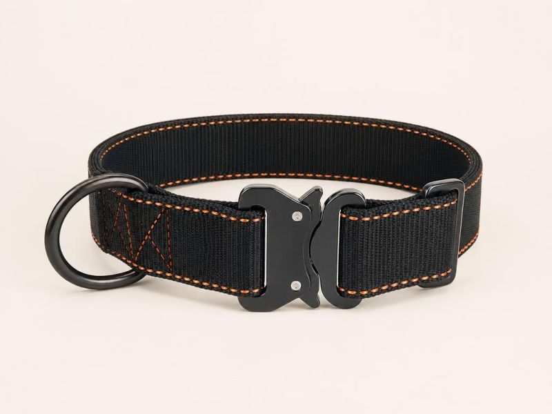 Imagen generada con IA del tipo de producto: un collar plano de nylon negro con hebilla metálica y argolla. No es la foto de la tienda; el producto real puede variar.