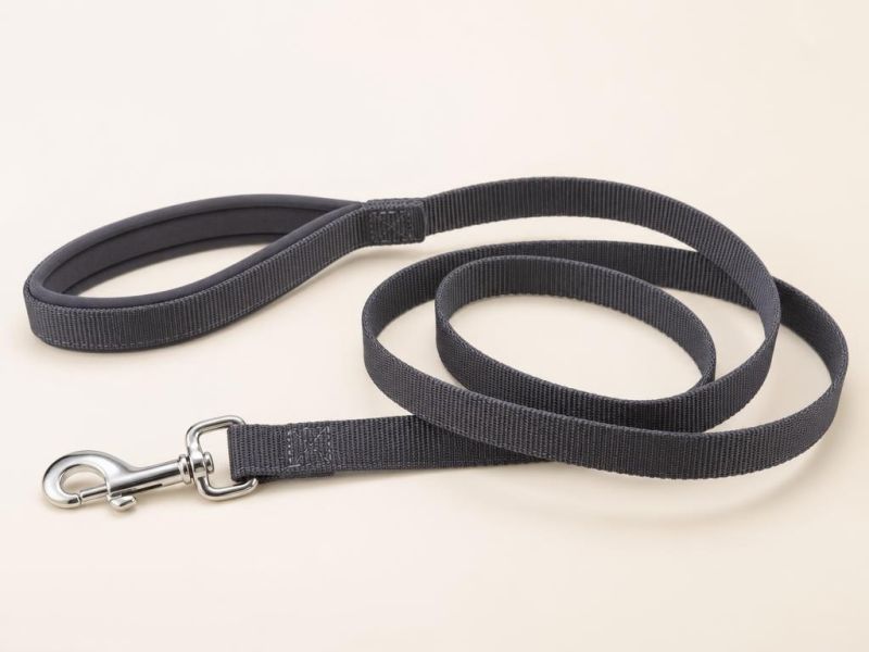 Imagen generada con IA del tipo de producto: una correa plana de nylon gris enrollada, con mosquetón de acero. No es la foto de la tienda; el producto real puede variar.