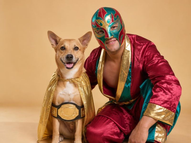 Un perro con capa dorada de luchador y su dueño con máscara de lucha libre