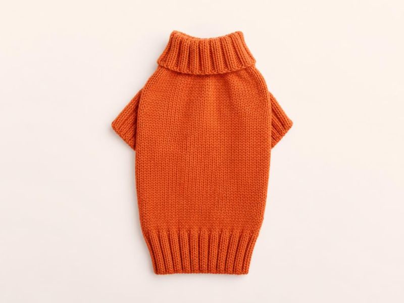 Imagen generada con IA del tipo de producto: un suéter tejido naranja para perro chico. No es la foto de la tienda; el producto real puede variar.