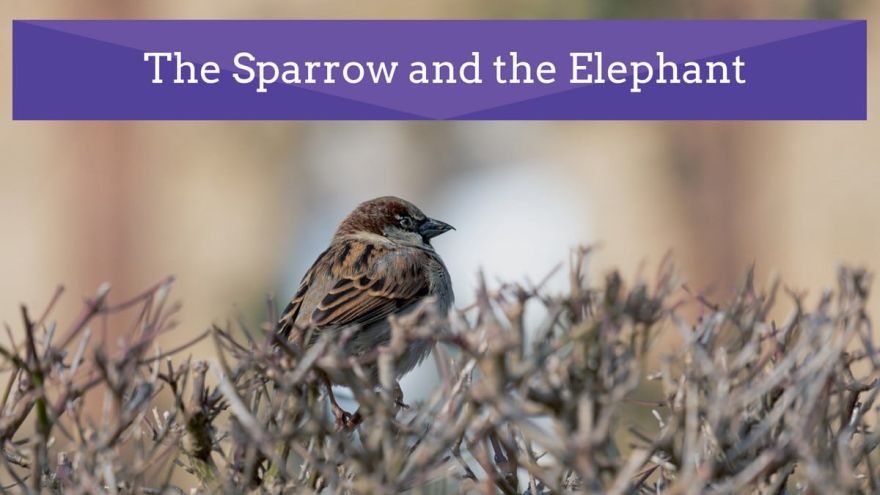 The Sparrow and the Elephant. Listen to this story on Baalgatha Podcast