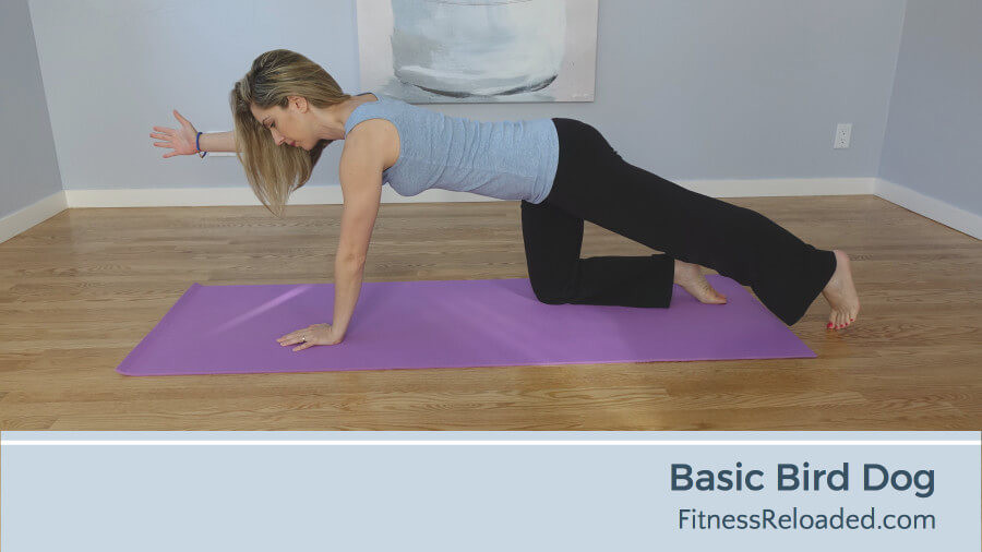 basic bird dog exercise