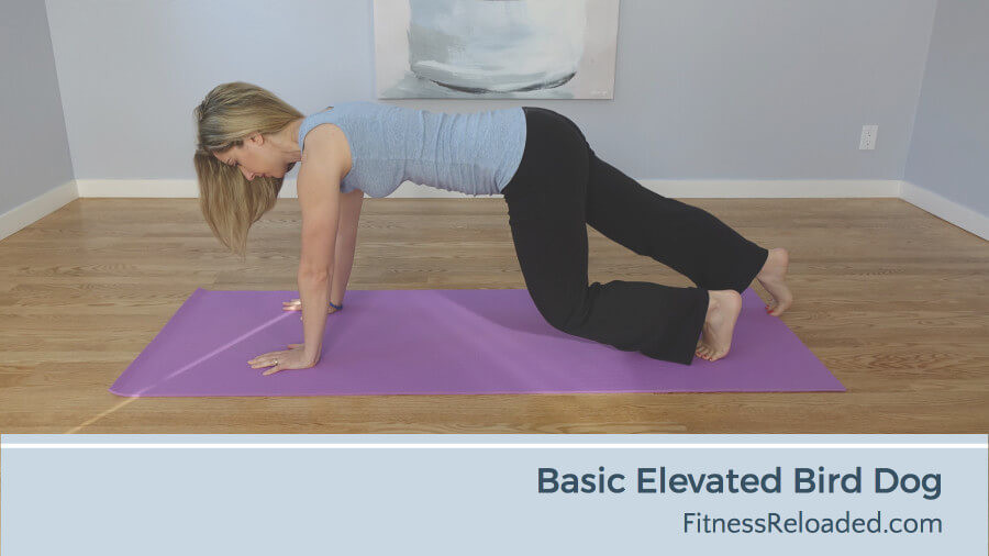 basic elevated bird dog exercise