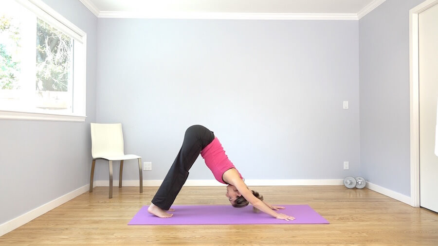 downward facing dog