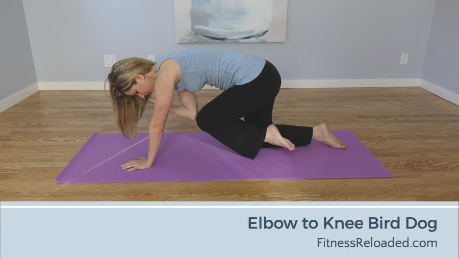 elbow to knee bird dog exercise variation