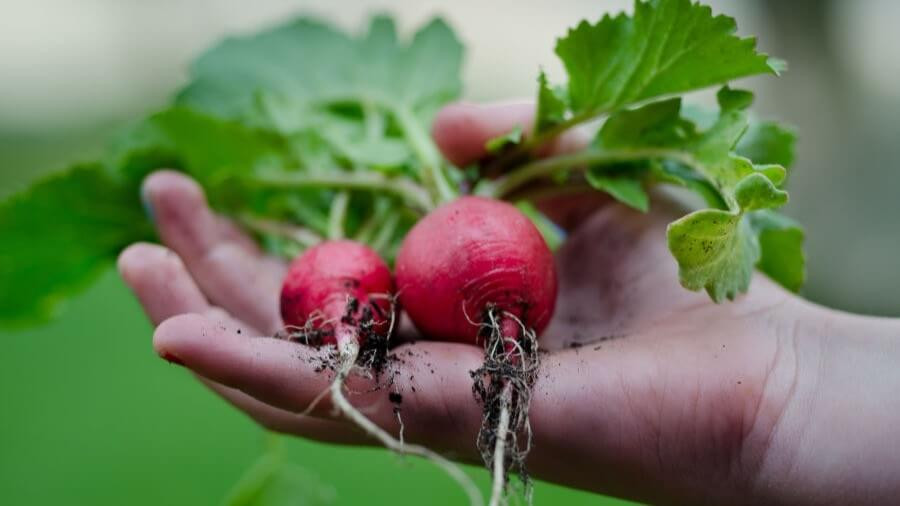 gardening fitness hack