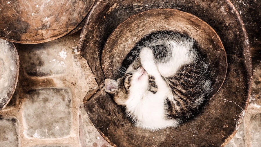 exercise sleep