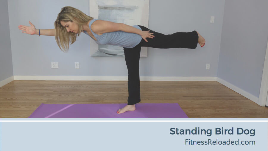 standing bird dog exercise progression
