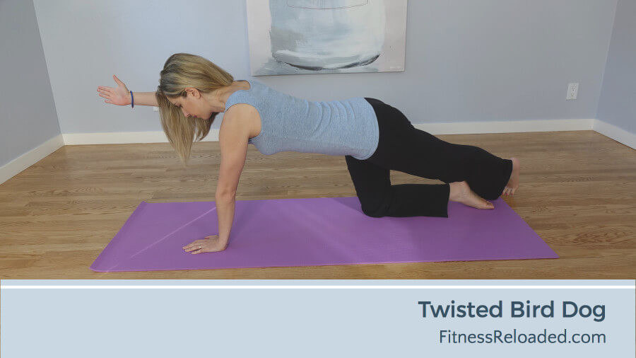 twisted bird dog exercise