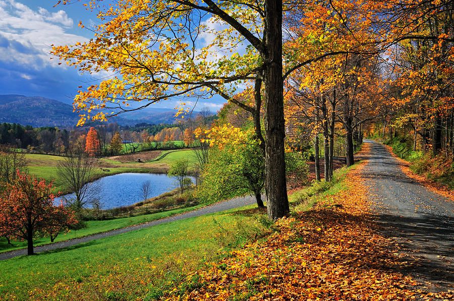 cloudland-road-woodstock-vermont-thomas-schoeller