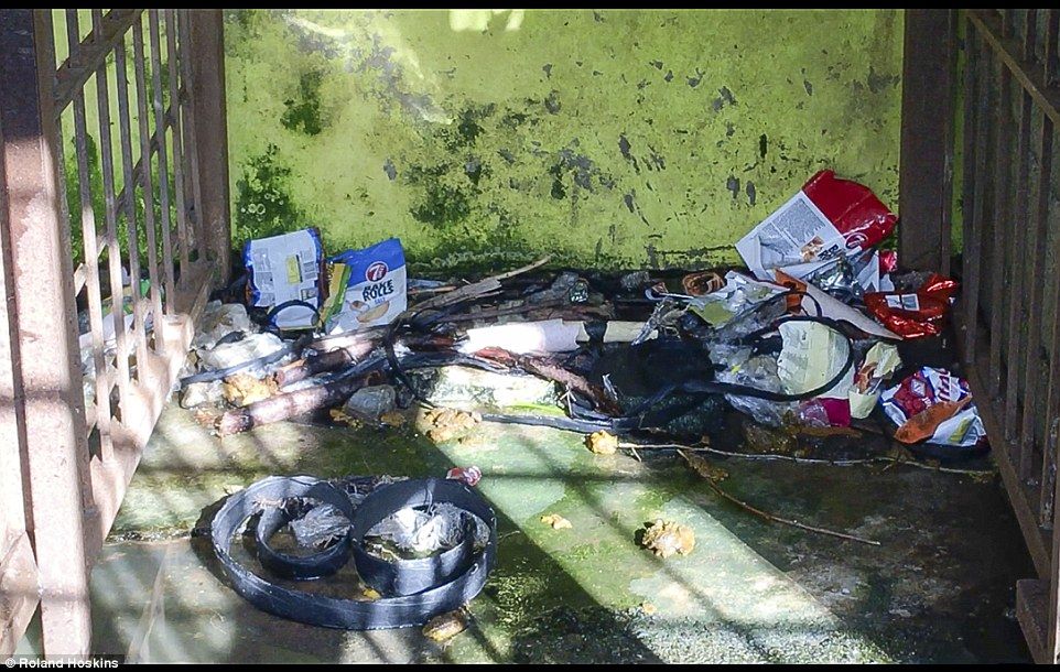 3523D5E200000578-3698808-From_his_cage_which_is_full_of_litter_including_discarded_crisps-a-54_1469009776685