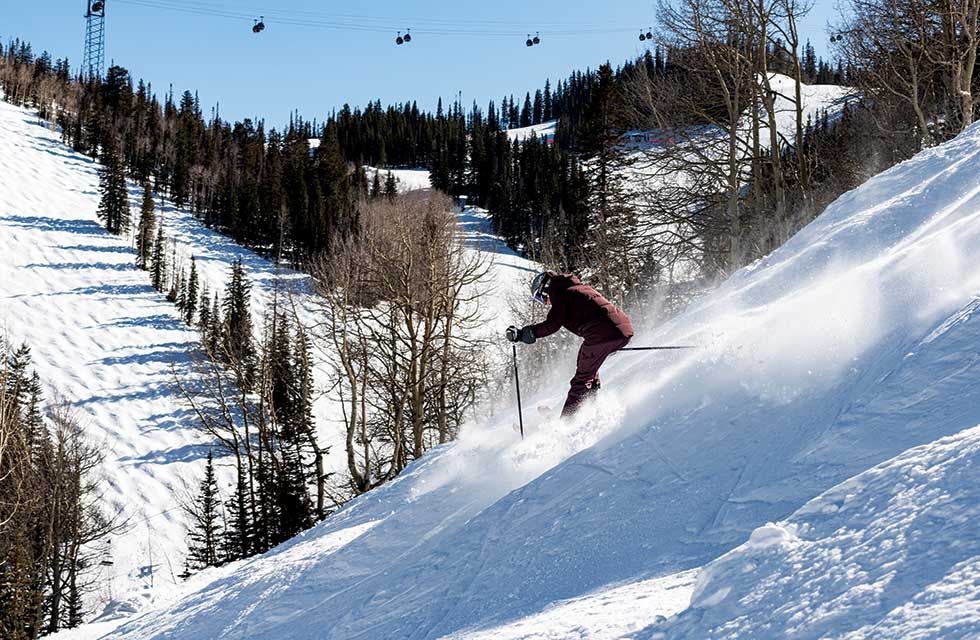 aspen web 6