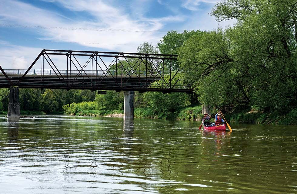 saugeen haily wolf cara bridge sky web