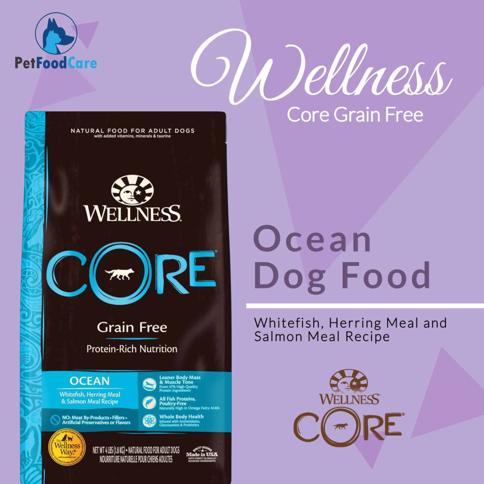 wellness core ocean
