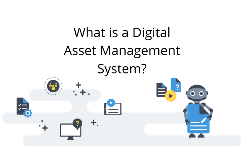 digital asset management services