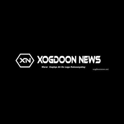 xogdoonnews